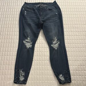Size 16W Skinny Fit Distressed Jeans